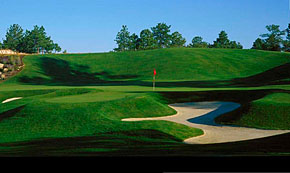 Kentucky Bluegrass on a golf Course Kentucky Bluegrass on a golf Course