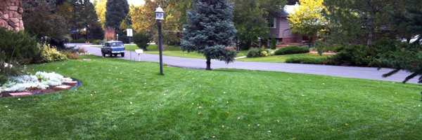 Fall Watering and Sod Installation